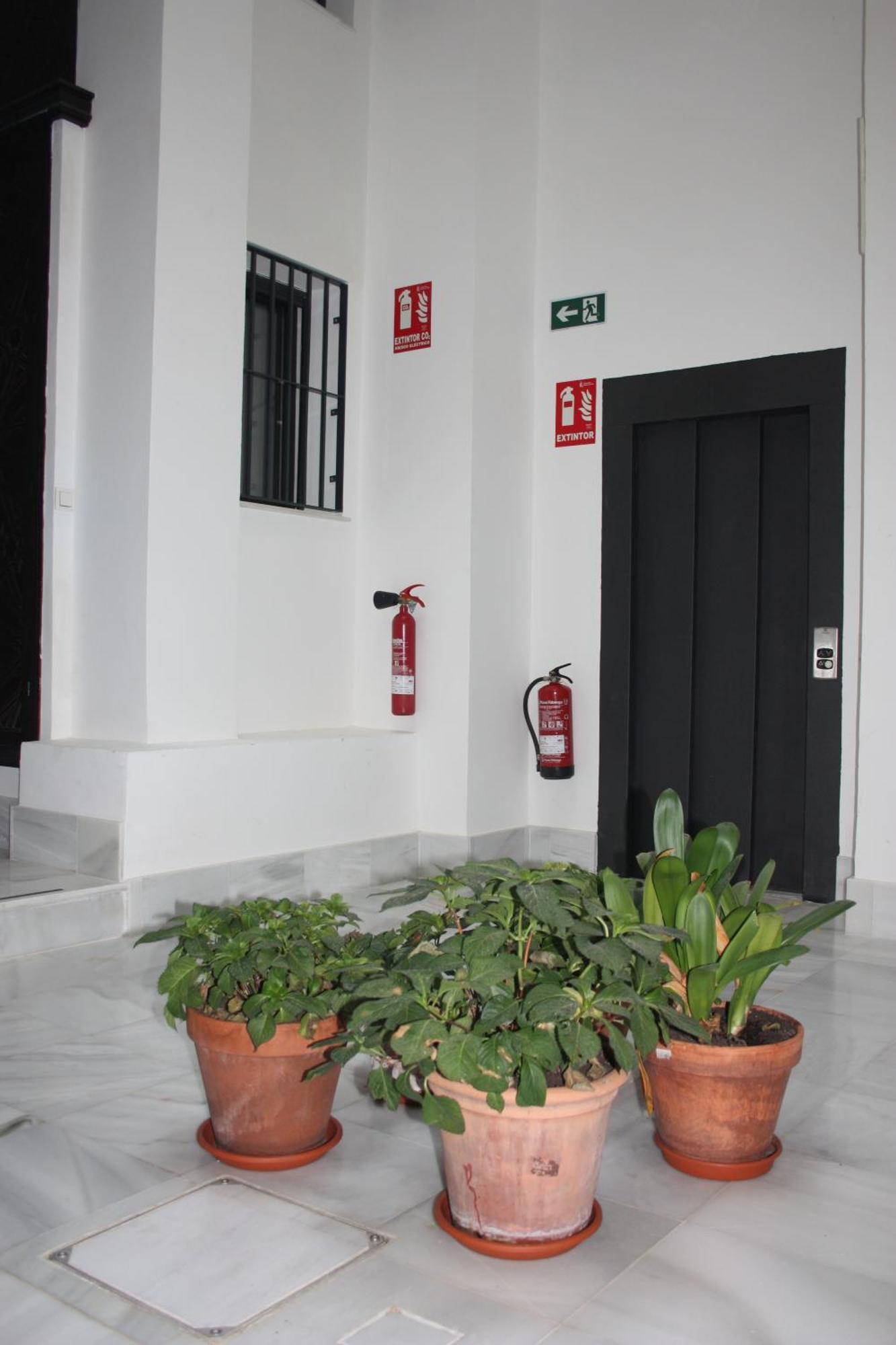 San Luis Downtown & Pool Apartment Sevilla Exterior foto