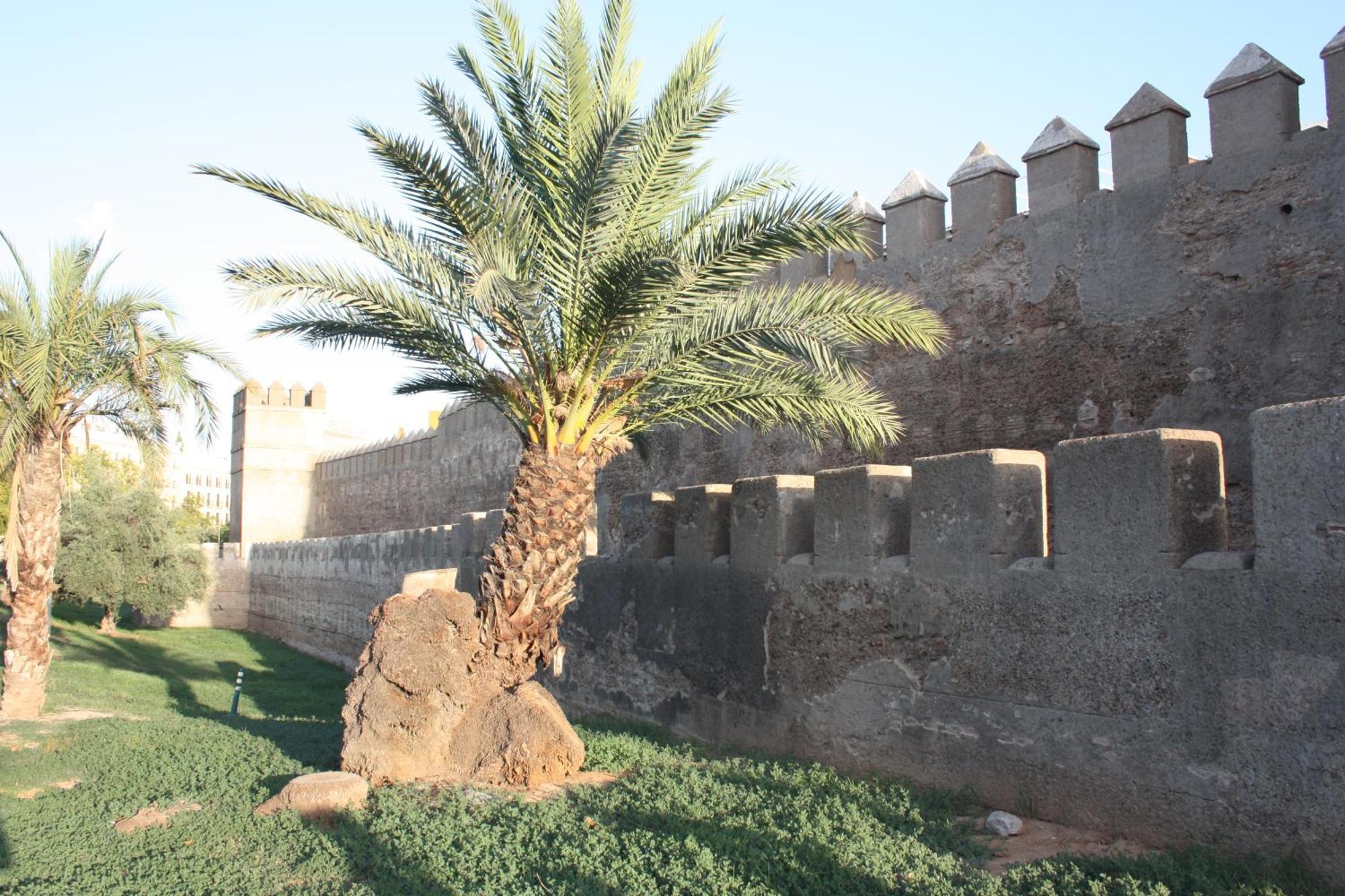 San Luis Downtown & Pool Apartment Sevilla Exterior foto